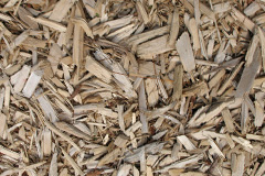 biomass boilers Ton